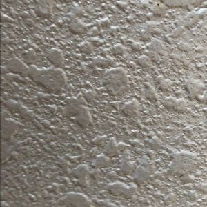 Meet your Posher, Janie